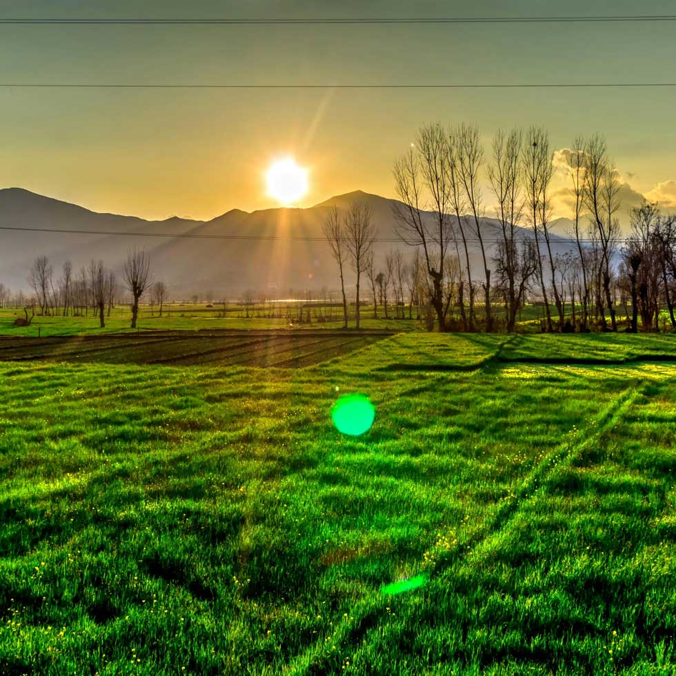 sunrise